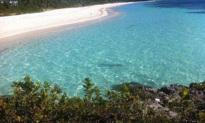 Port Howe Villa | Experience 9 Acres of Pure Bahamas with Oceanfront Views