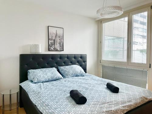 Kaisermuhlen Apartment | 90 m2 Donau City Maisonette with Free Parking