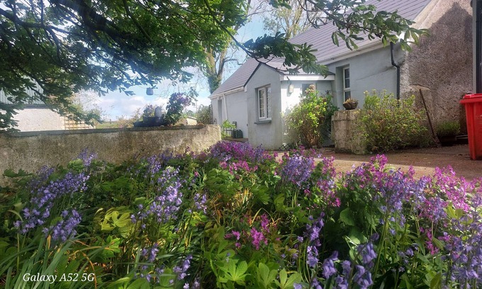 Mayour Villa | Charming House in the Heart of Ireland with Pool & Breakfast