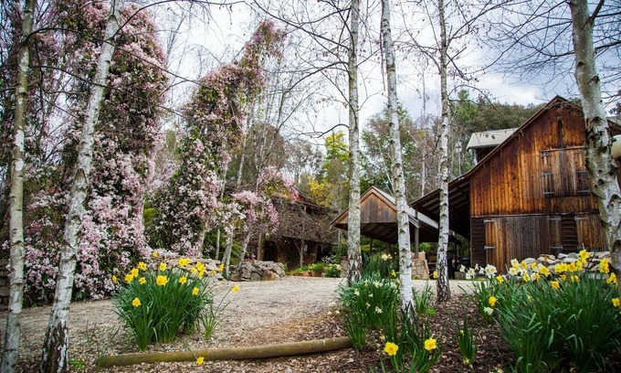 Tawonga South House | Romantic Retreat with Ocean View & Breakfast Included