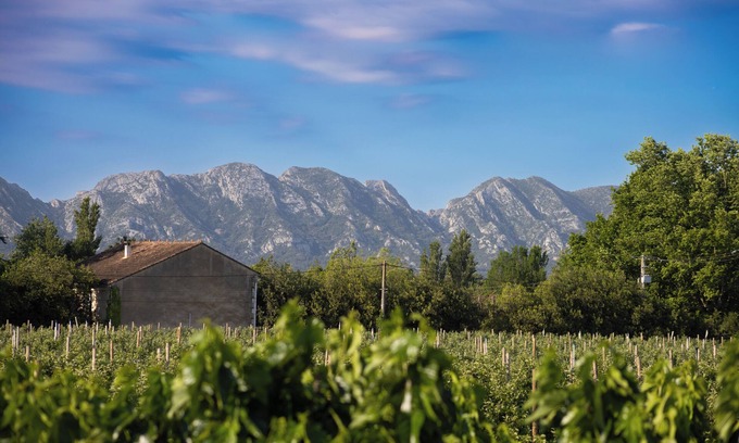 Molleges House | Discover Tranquility in the Countryside Between Alpilles & Luberon