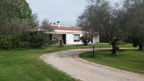 Viterbo House | Experience Tranquility at A casa di Asia - Rated 9.3/10
