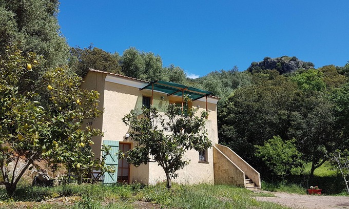 Patrimonio Bed & Breakfast | Family-Friendly A Casa Di L'Alivu: Guest Rated 9.4/10