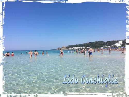 Lido Conchiglie House | Pet-Friendly A Casa di Luca with Oceanfront Views