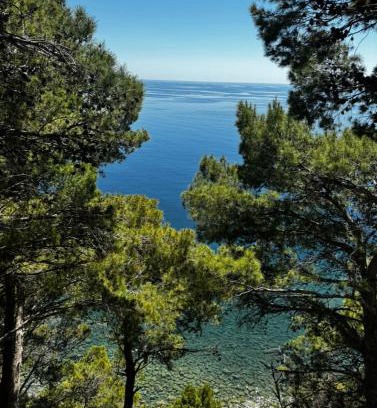 Montecorice House | Oceanfront Escape at A casa di Ludo - Guest Rated 9.4