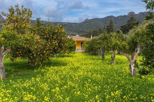 Bosa House | Idyllic Country Cottage with Bikes and Kayaks Awaiting You