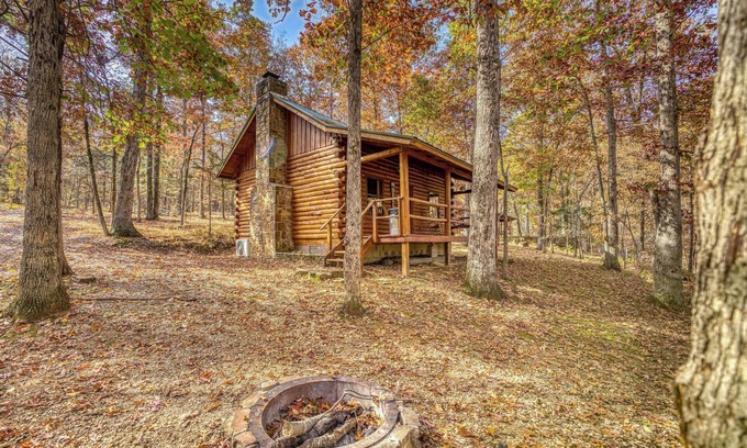 Saint Joe Cabin | Charming 2-Bedroom Cabin in Saint Joe with WiFi & Firepit