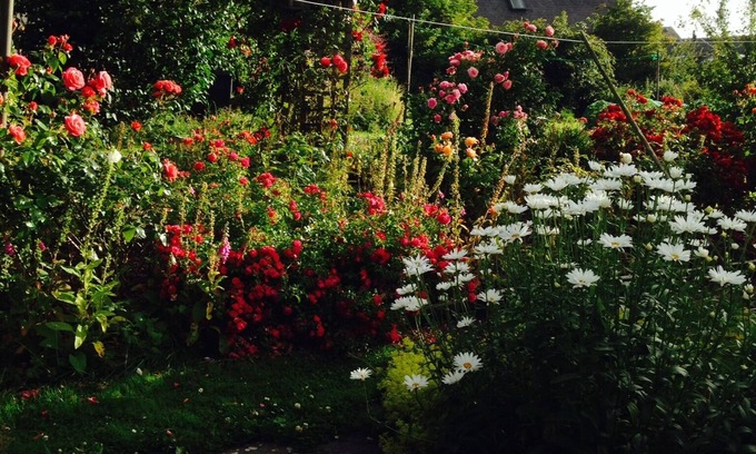 Morebattle Cottage | Charming Holiday Cottage in Morebattle with Breakfast Included