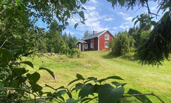 Orby Cabin | Inviting Swedish Forest Cottage on a Bright Sunny Hill