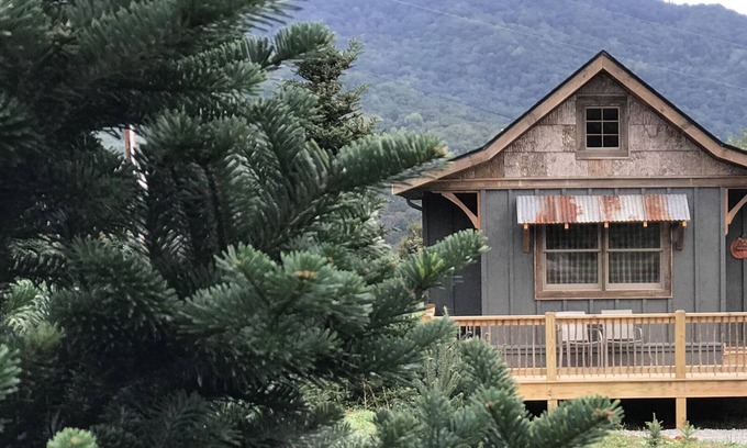 Waynesville Cabin | Enchanting Cabin Retreat Amidst a Christmas Tree Farm