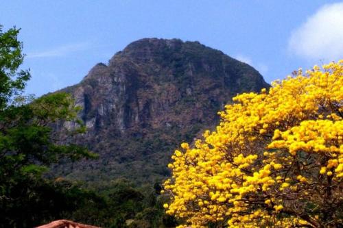Altos del Maria Apartment | Tranquil Mountain Retreat in Altos del Maria, Panama