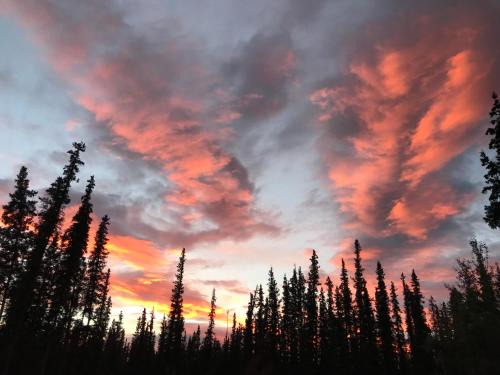 Tok Bed & Breakfast | Pet-Friendly Getaway at A Hyde Away Inn B&B - Rated 9.2/10