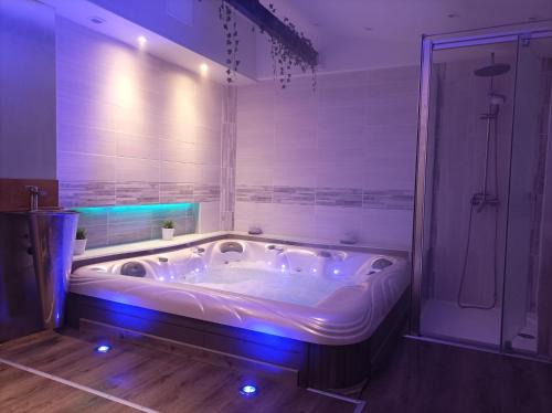 Epinal Apartment | Relaxing Retreat at A l'ombre du lilas with Spa & Hot Tub