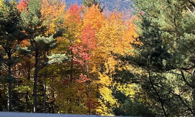 Wilmington Ski Chalet | Mountain View Chalet: Family-Friendly Retreat in Lake Placid