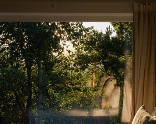 Cinfaes Bed & Breakfast | Discover A Padaria Farmhouse: Rated 9.8, Pet Friendly Stay