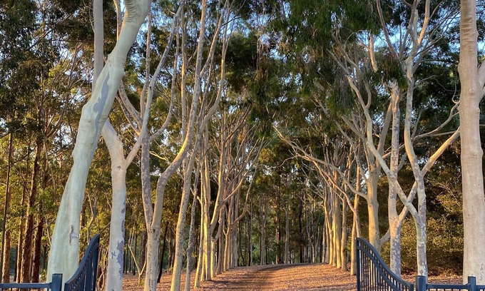 Margaret River Cabin | Serene Getaway by the Margaret River with Pool & Spa