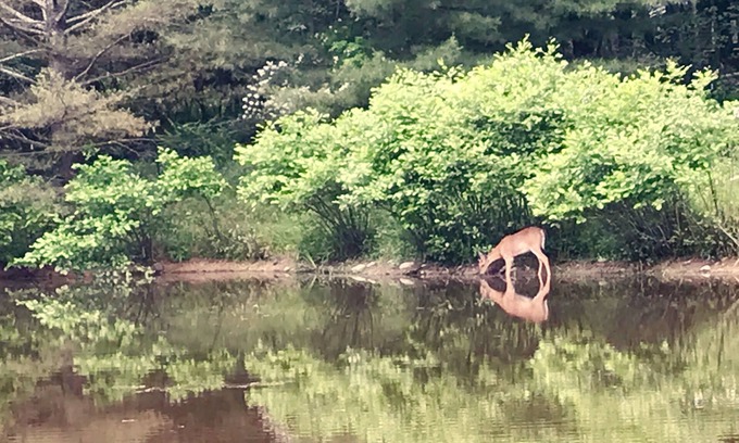 Wallkill Other | Discover a Hidden Gem with Private Pond Near New Paltz
