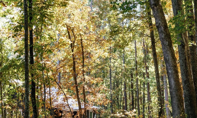 Rome Cottage | Discover a Secluded Retreat on 5,000 Acres in NW Georgia