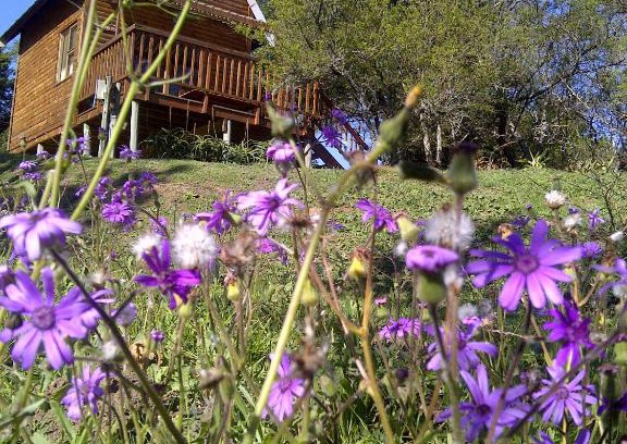 Grahamstown House | Inviting A Stone's Throw Accommodation with Family Amenities
