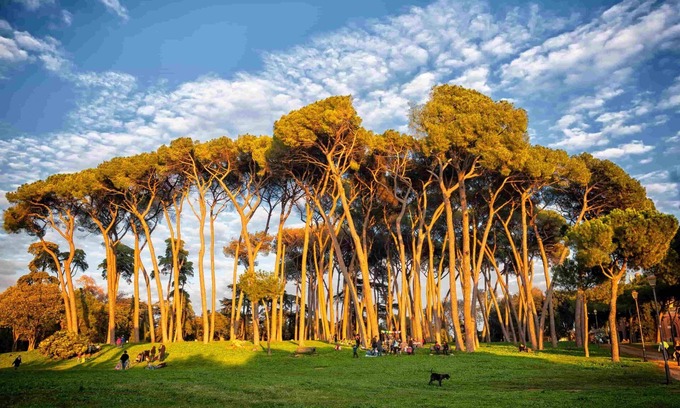 Aurelio Apartment | Close to San Pietro & Villa Pamphili: Guest Rated 10/10