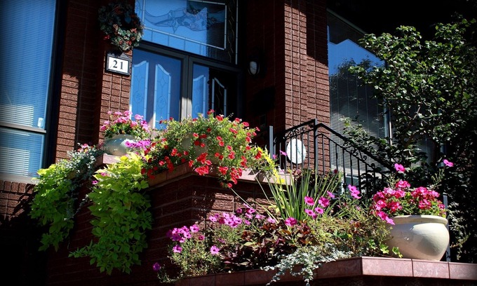 Humber Summit Apartment | Cozy Suite with Ocean View in a Chalet-style Retreat