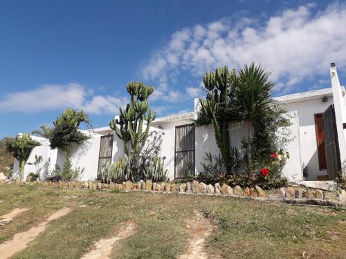 Alto Paraiso de Goias Cabin | Pet-Friendly Getaway at A Taberna - Chalés with High Ratings