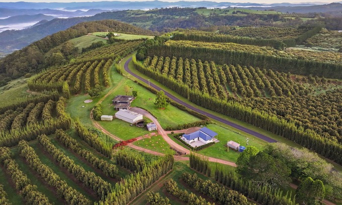 Comboyne House | Reconnect with Nature: Your Ultimate Country Retreat