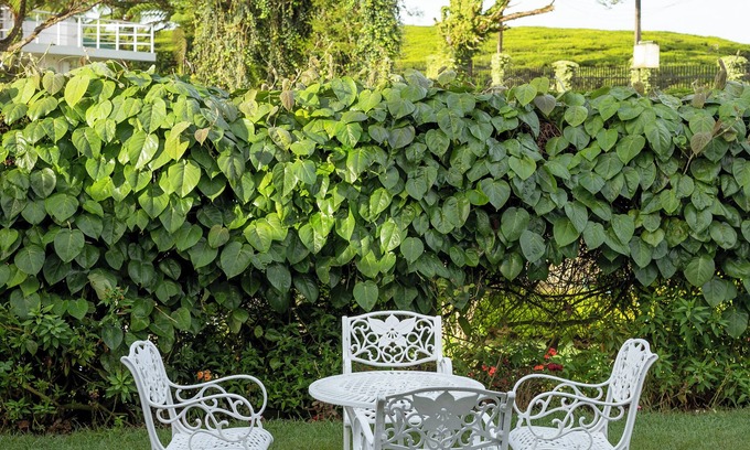 Nuwara Eliya Hotel | Discover Aaradhya Nuwara Eliya: Family-Friendly Retreat