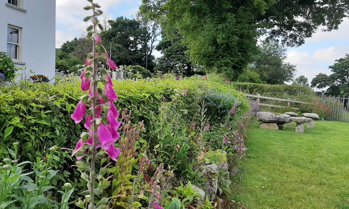 Hollywood Bed & Breakfast | Guest Rated 9.8: Abhainn Ri Farmhouse B&B with Breakfast