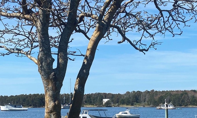 Shoalhaven Heads Cabin | Comfortable Stay at Lorsens On The River - Cabin 2