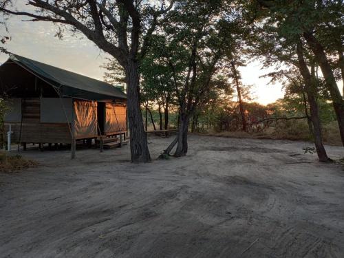 Maun Other | Family-Friendly Mankwe Camping with Pool and Breakfast