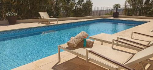 Rosh Pinna Apartment | Idyllic Stay at Miss Daisy with Ocean View and Pool Access