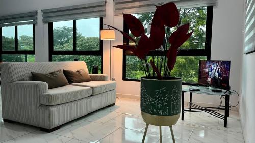 Alto Boquete Apartment | Inviting Apartment with Volcano View - The Goat Spot