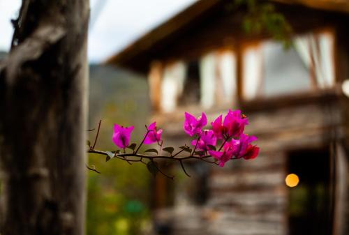 Villa de Leyva House | Inviting Log Cabin Retreat in Villa de Leyva - Pet Friendly