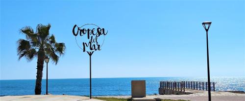 Marina d'Or Apartment | Pet-Friendly Accommodations at ACV Segunda Linea Hotel