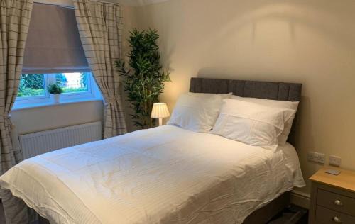 Runnymede Apartment | Modern Addlestone Apartment with Pet-Friendly Amenities