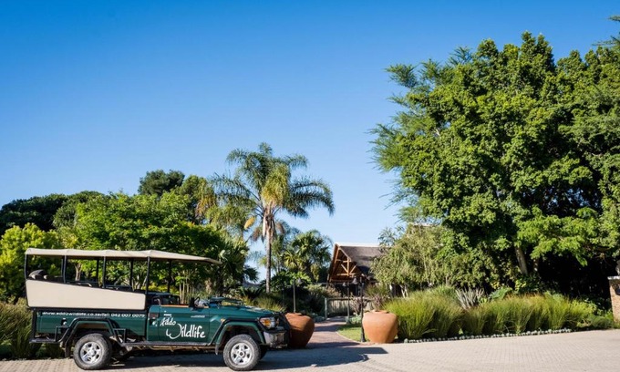 Addo Cabin | Explore Addo Wildlife: 4-Star Family-Friendly Getaway