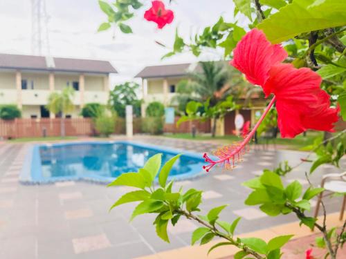 Lubok Buaya Hotel | Cozy Adina Drive-In Motel Cenang with Oceanfront Pool