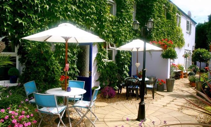 Bridgwater House | Pet-Friendly Admiral Blake Guesthouse for Memorable Stays
