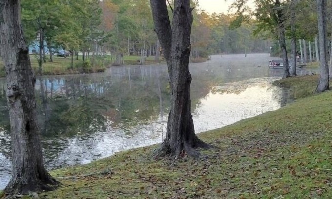 Georgetown Cabin | Charming Lakefront Escape with Pool and Pet-Friendly Perks