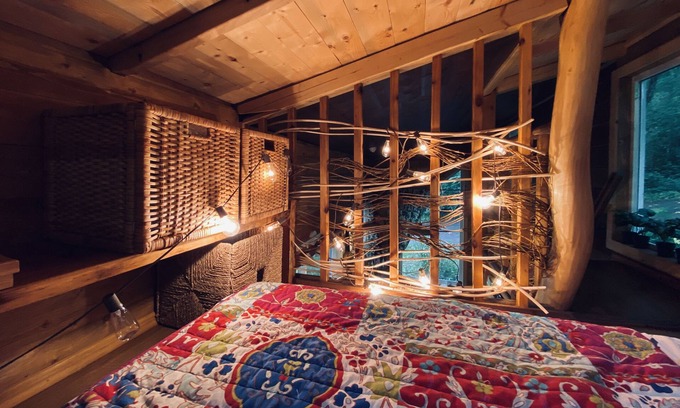 Clatskanie Cabin | Cozy Tiny House with Forest and Garden Views for Families