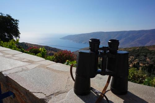 Rogon House | AEGEAN VIEW: Oceanfront Retreat with Pet-Friendly Perks