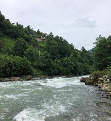 Ayder Resort | Idyllic Afara Bungalows Otel & Cafe with Oceanfront Views