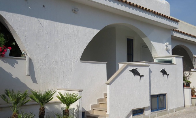 Mattinata House | Beachside AFE Holiday House with Pool and Ocean Views