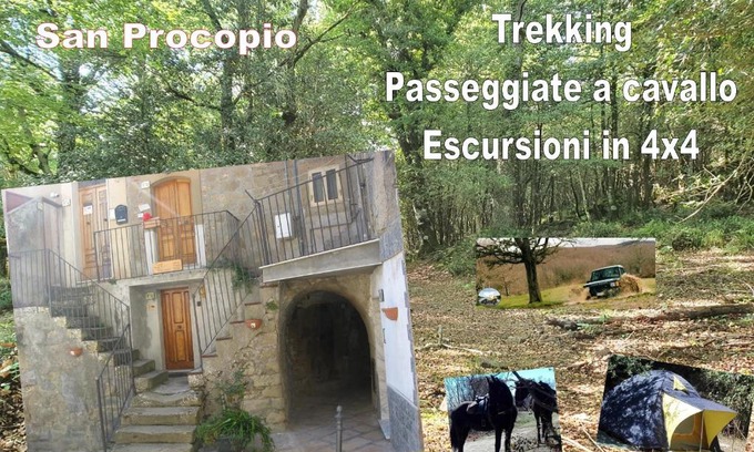 Troina House | Inviting Stays at Affitta Camere San Procopio - 9/10 Rated