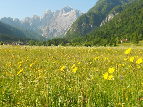Malborghetto Valbruna Bed & Breakfast | Exceptional Affittacamere Krajnc with Restaurant & Breakfast