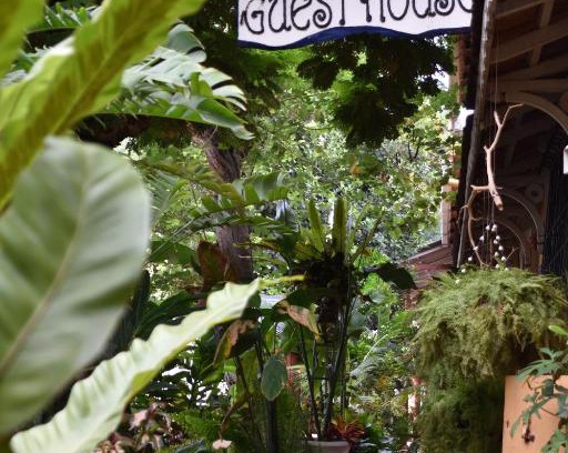Fontainhas House | Top-Rated Afonso Guest House for Your Next Getaway