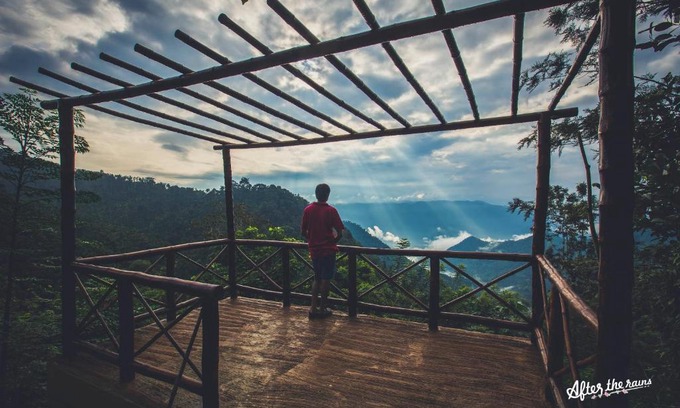 Meppadi Resort | Serene After the Rains - Rainforest Lodge with Pool & Dining