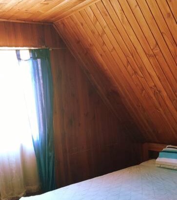 Panguipulli Apartment | Pet-Friendly Lakefront Cabin at Lago Panguipulli