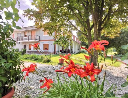 Barolo Apartment | Pet-Friendly Stay at Agricola Domus with 9/10 Rating